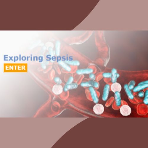 title of the course printed next to image of a blood vessel showing platelets, red and white blood cells