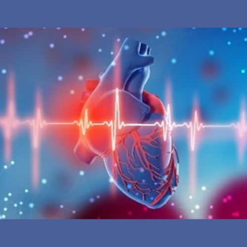 graphic of a heart