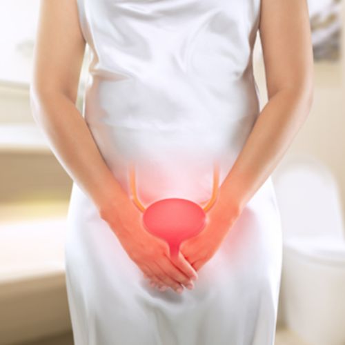 Graphic of the bladder with an image of a woman as the background