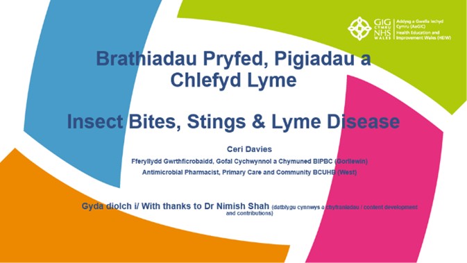 title of the course printed on Y Ty Dysgu logo