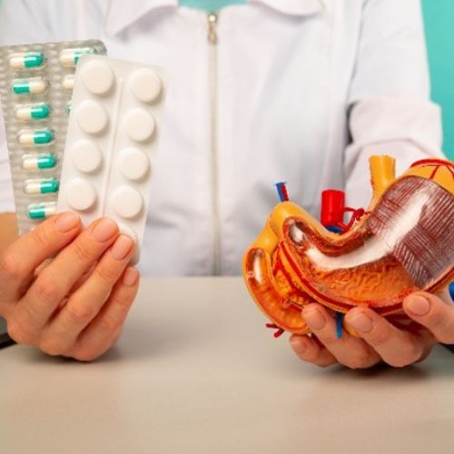 person holding tablets in one hand and a replica of the stomach in the other