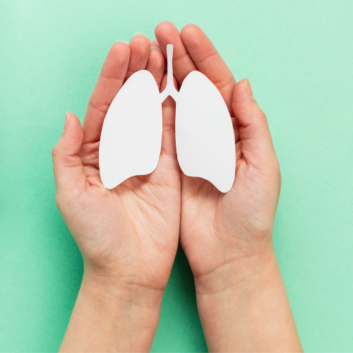 Paper cutout of the lungs placed on 2 hands on a pastel green background