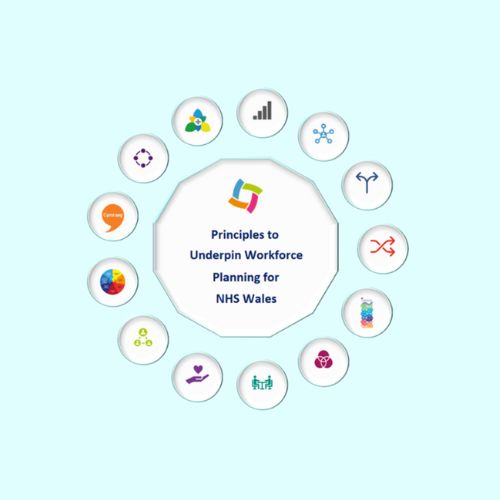 graphic with thirteen icons to represnt the thirteen workforce planning principles